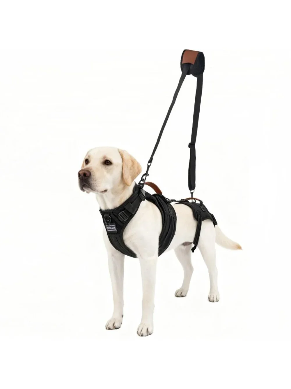 Dog Lift Harness 